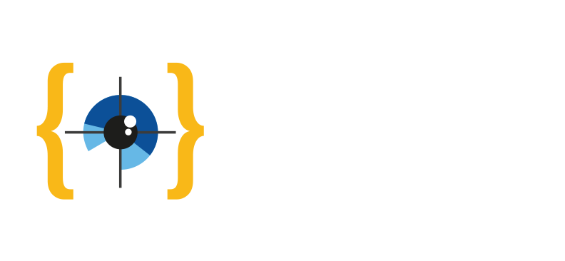ايجيبت فيجن برمجة المواقع